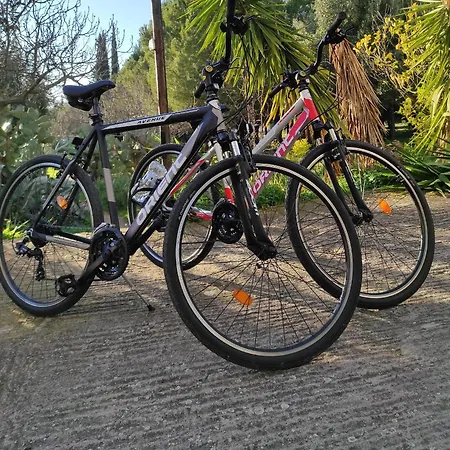 Archetypo 1855 - And *