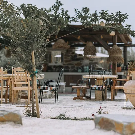 Villa Archetypo 1855 - And *